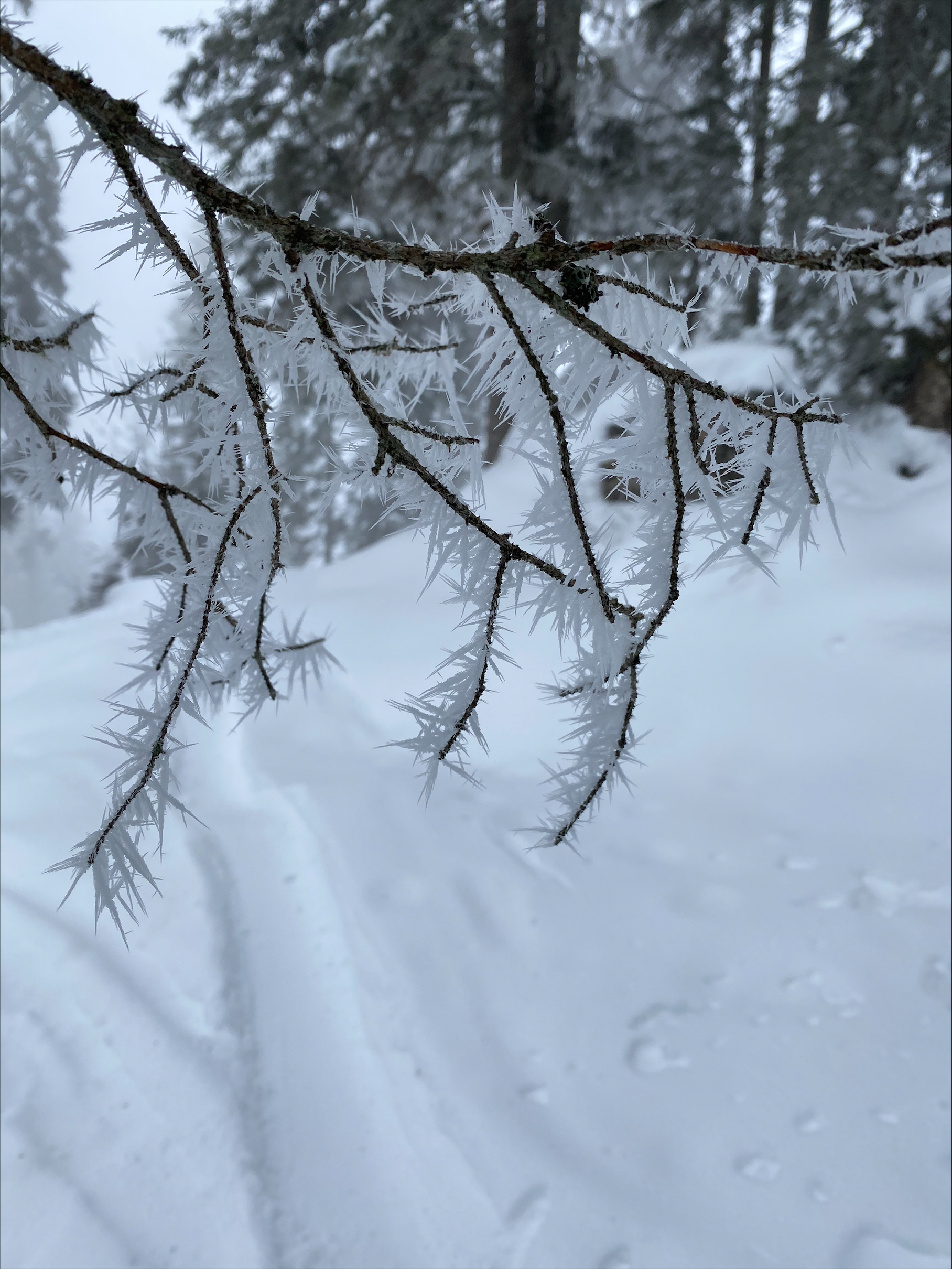 05.12.25 ab 16.00 Uhr geschlossen. 